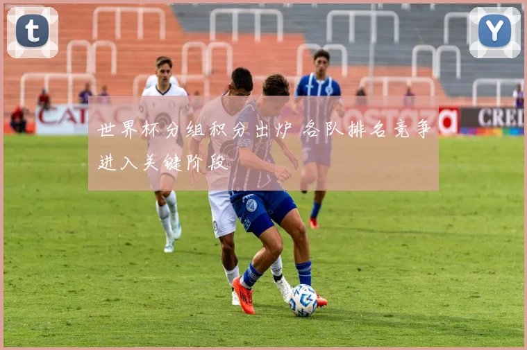 世界杯分组积分出炉 各队排名竞争进入关键阶段