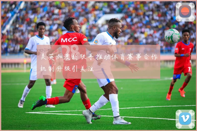 美英加澳新联手推动体育赛事合作机制升级引关注