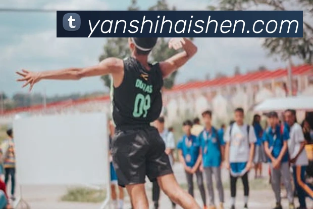 在线买世界杯平台平台生态图